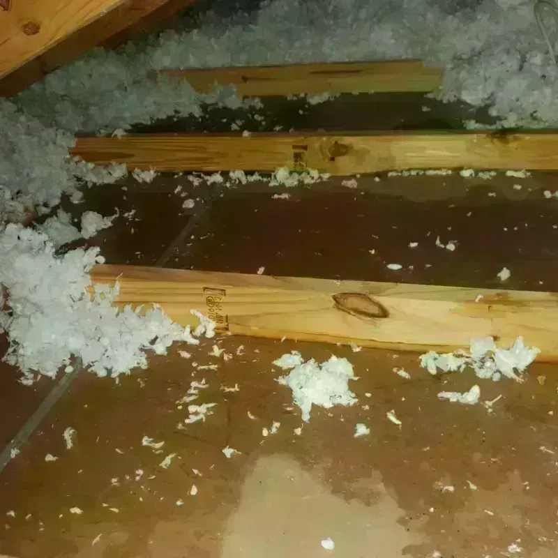 Attic Water Damage in Town Creek, AL