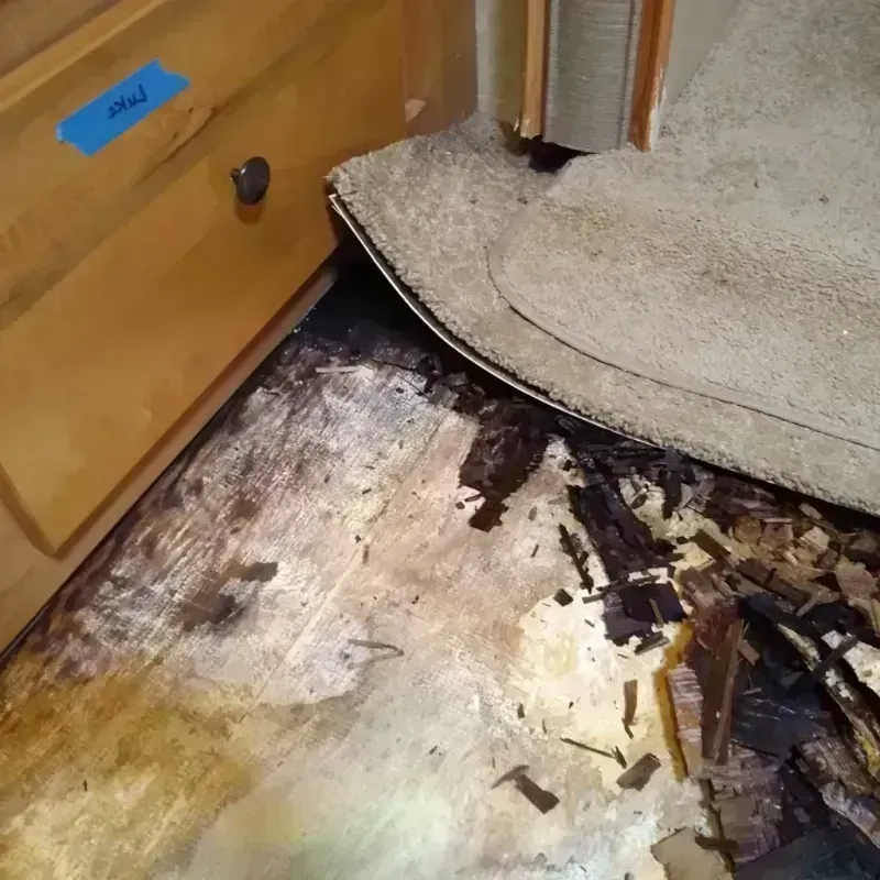 Best Wood Floor Water Damage Service in Town Creek, AL